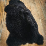 Sheep Skin Rug