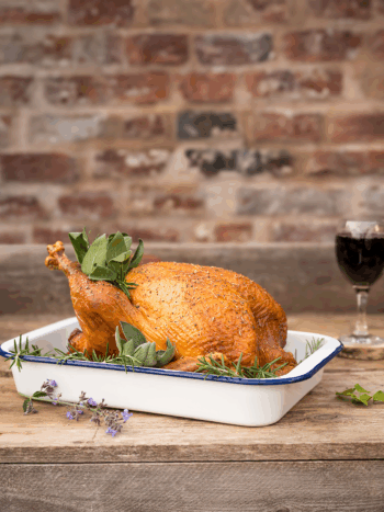 Photo of Dee valley bronze turkey at Rhug Estate