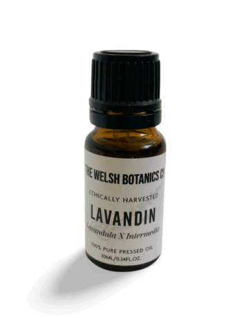 The Welsh Botanics Co - Lavandin