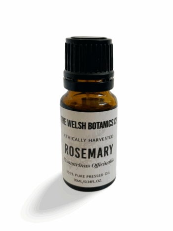 The Welsh Botanics Co - Rosemary