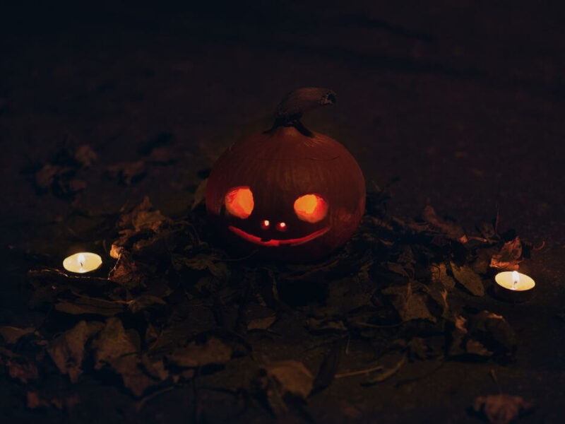 Spooky evening in the darkness with a pumkpin illuminated