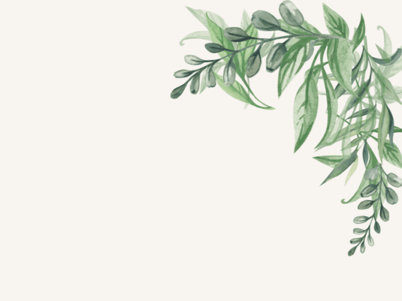 Winter Tasting Menu Evening at Cafe Rhug